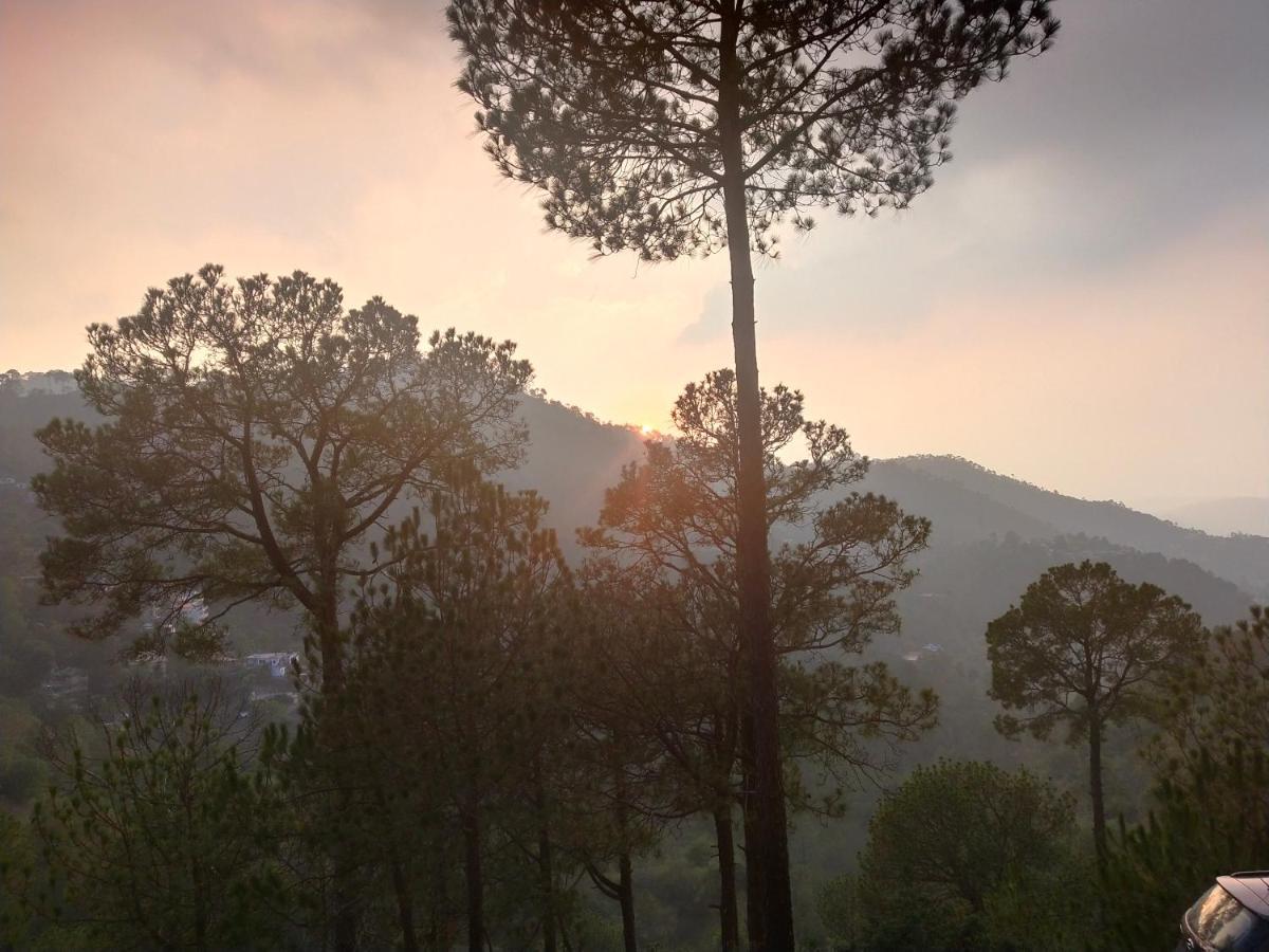 Pine Villa Kasauli Exteriör bild