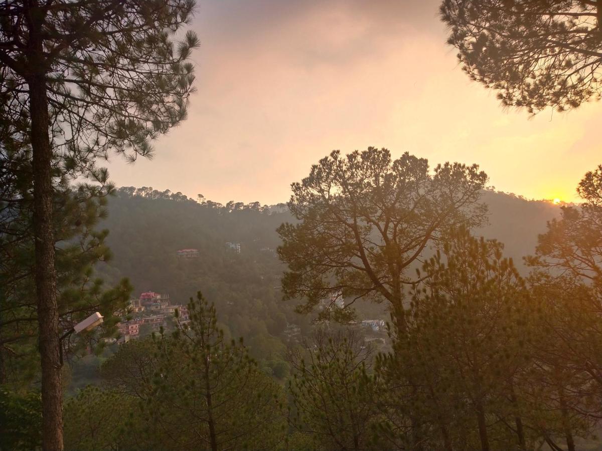 Pine Villa Kasauli Exteriör bild