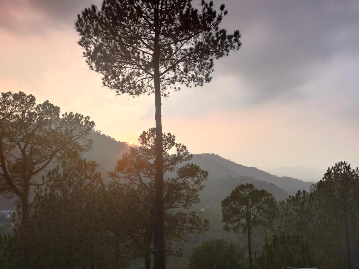 Pine Villa Kasauli Exteriör bild