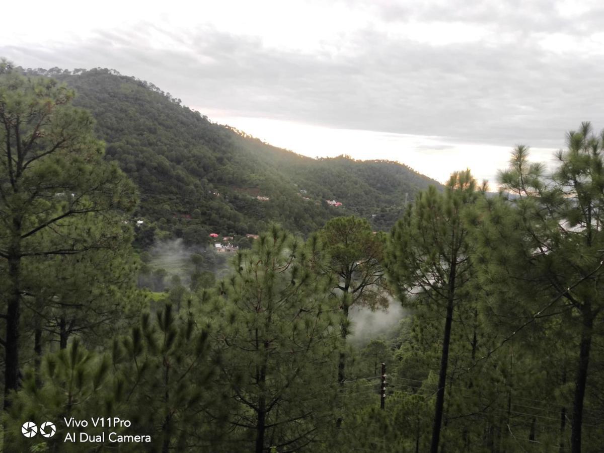 Pine Villa Kasauli Exteriör bild