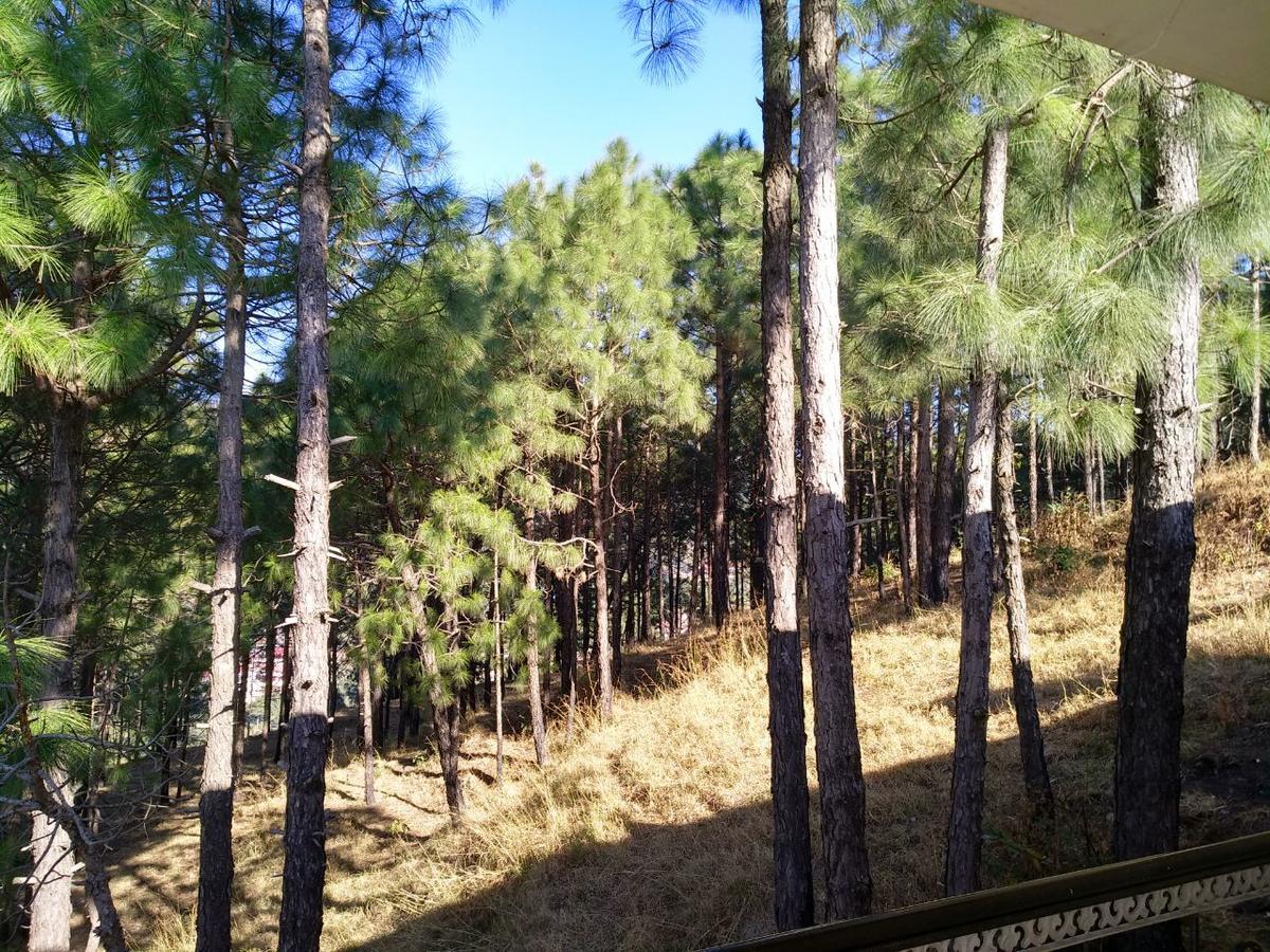 Pine Villa Kasauli Exteriör bild