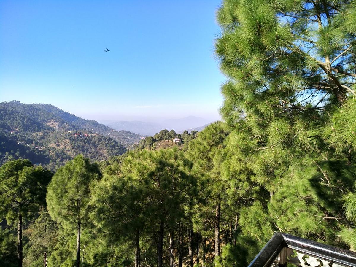 Pine Villa Kasauli Exteriör bild