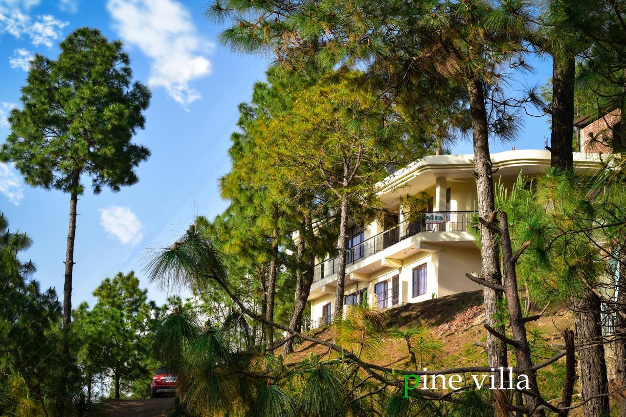 Pine Villa Kasauli Exteriör bild